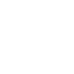 serfey_logo_300